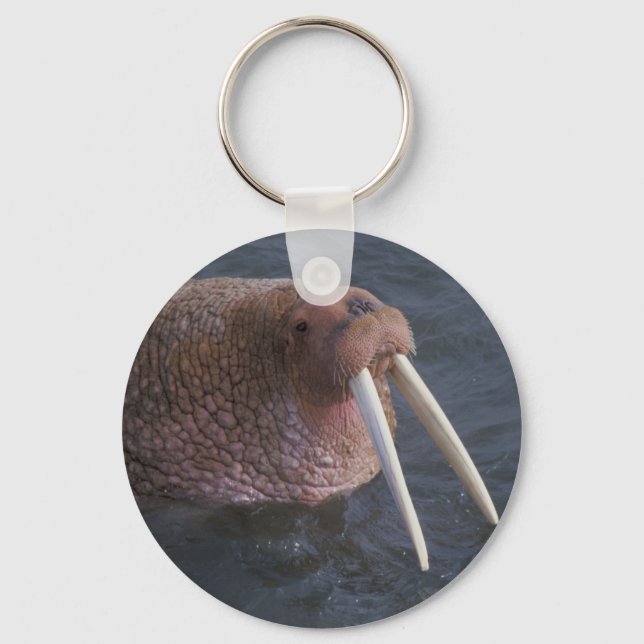 Walrus Nyckelring (Framsida)