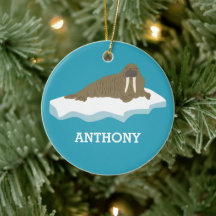 Walrus på en Personlig i Iceberg Illustration