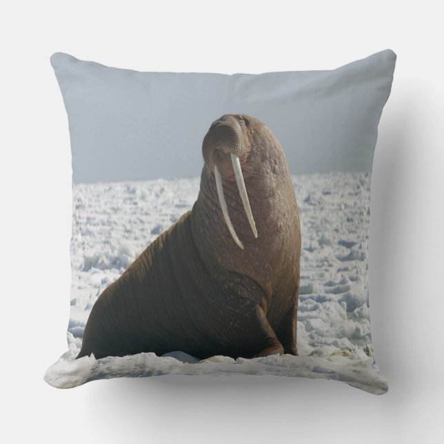 Walrus på Ice Kudde (Framsida)