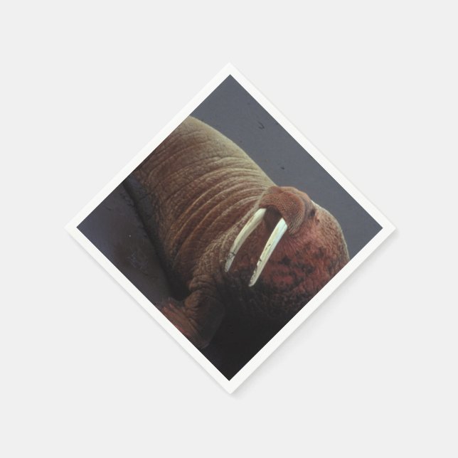 Walrus Pappersservett (Hörn)