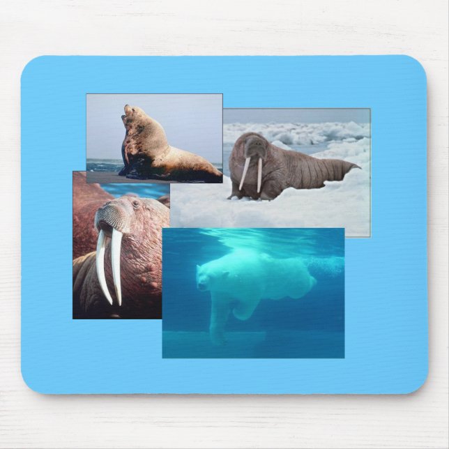 Walrus, Polar Bear, Sea Lejon Bull Mousepad Musmatta (Framsidan)