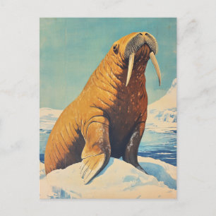 Walrus vintage vykort