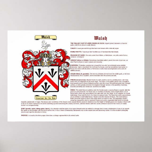 Walsh (betydelse) poster (Framsidan)
