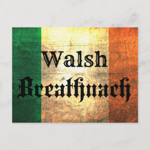 Walsh Irish Flagga Vykort