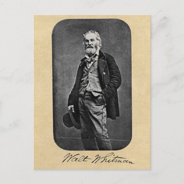 Walt Whitman Age 41 Porträtt Vykort (Framsida)