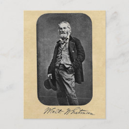 Walt Whitman Age 41 Porträtt Vykort