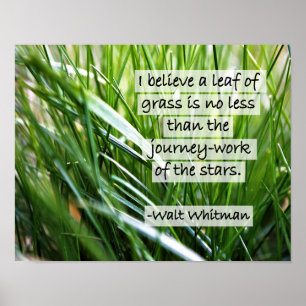 Walt Whitman citationsteckenaffisch Poster