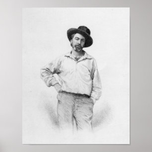 Walt Whitman, frontispiece till 'löv av Poster
