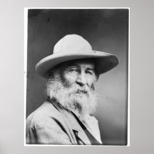 Walt Whitman Porträtt alias Quaker Photo Poster