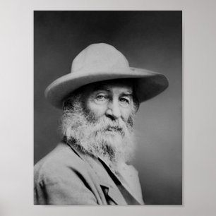 Walt Whitman Porträtt Poster