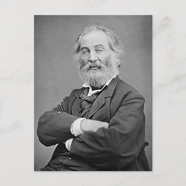 Walt Whitman, sittande fotografiålder för Porträtt Vykort (Framsida)