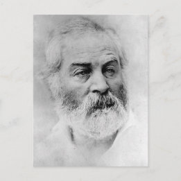 Walt Whitman under det amerikanska inbördeskriget, Vykort