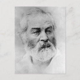 Walt Whitman under det amerikanska inbördeskriget, Vykort
