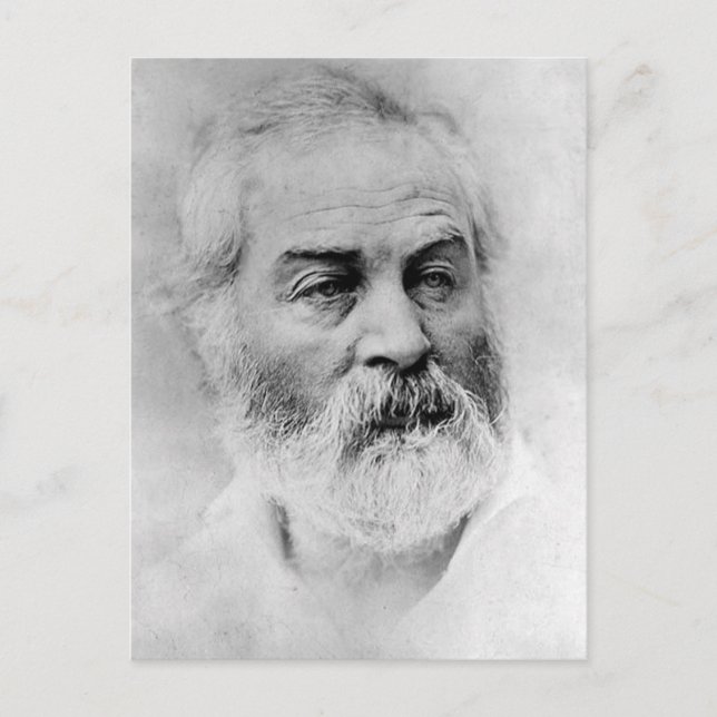 Walt Whitman under det amerikanska inbördeskriget, Vykort (Framsida)