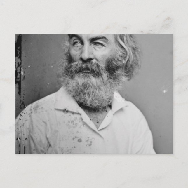 Walt Whitman Vykort (Framsida)
