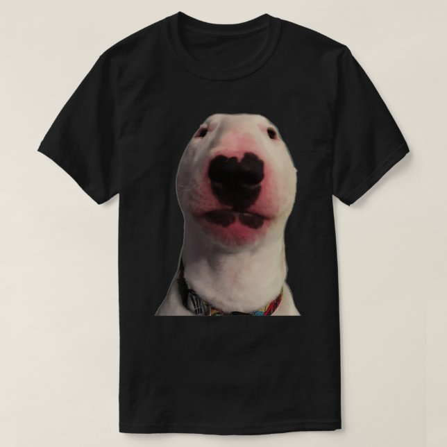 Walter hund Meme Gift Premium T Shirt (Design framsida)