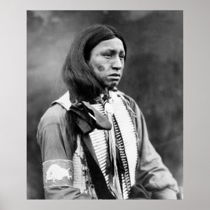 Walter Järn Snäcka: 1911 Poster