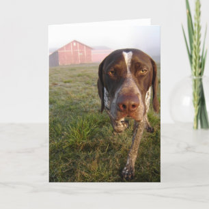 Walter ladugård Notecard Kort