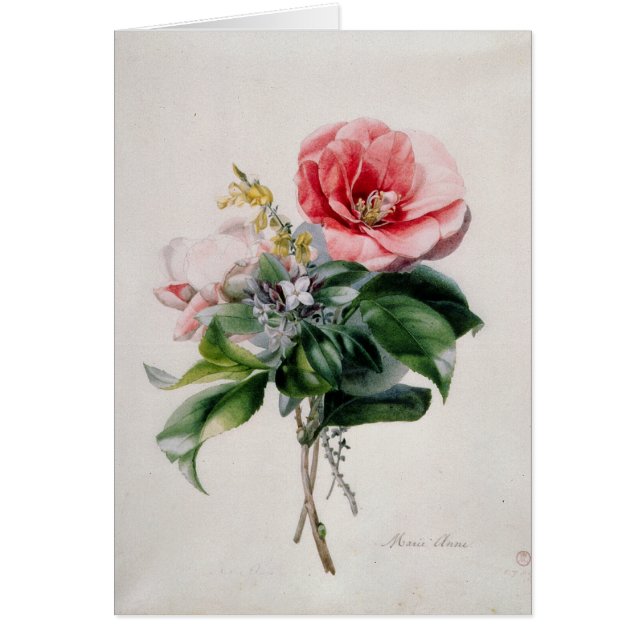 wamellia och kvast hälsningskort (Framsidan)