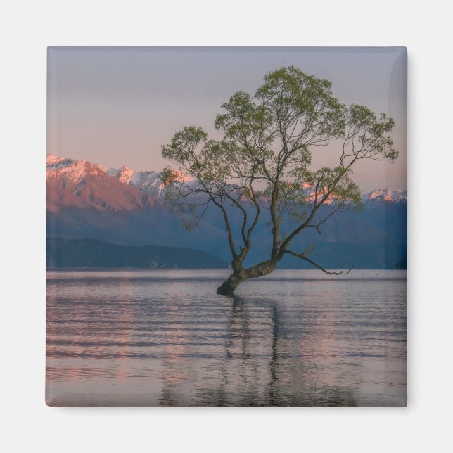 Wanaka Träd, New Zealand Magnet (Framsidan)