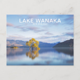 Wanaka Träd New Zealand Travel Postcard Vykort