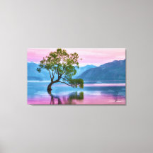 Wanaka Träd Nya Zeeland