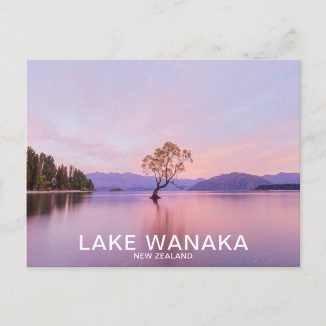 Wanaka Träd Sunrise Nature Travel Vykort (Framsida)
