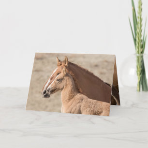 Wanda Vilden Filly Vild Horse Greeting Card Kort