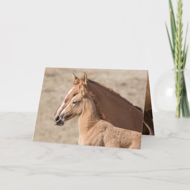Wanda Vilden Filly Vild Horse Greeting Card Kort (Framsida)