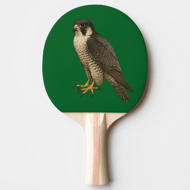 Wanderfalke Pingisracket (Framsidan)