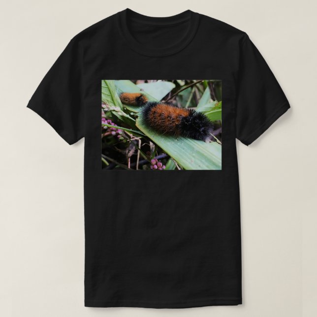Wandering Wooly Bears T Shirt (Design framsida)