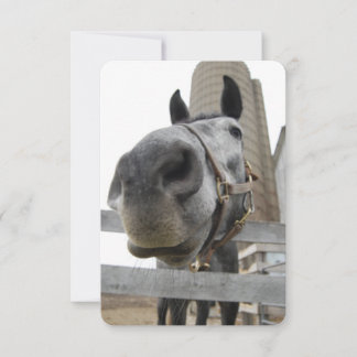 Wanna Horse Around Tack Kort