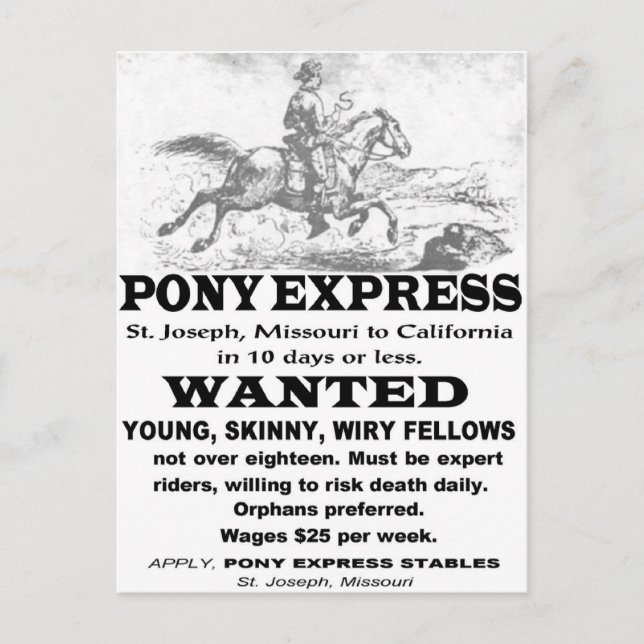 Wanted Pony Express Rider Vykort (Framsida)