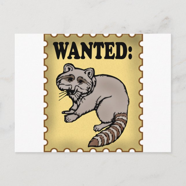 Wanted Raccoon Vykort (Framsida)