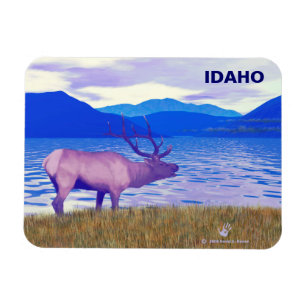 Wapiti (Elk) från Sjö Magnet