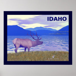 Wapiti (Elk) från Sjö Poster