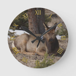 Wapiti (Elk) & Magpie Rund Klocka