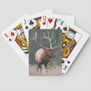 Wapiti Spel Kort