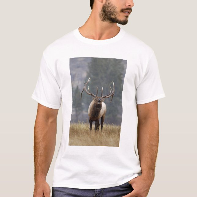 Wapitihjort som larmar, Yellowstone NP, Wyoming 2 T-shirt (Framsida)