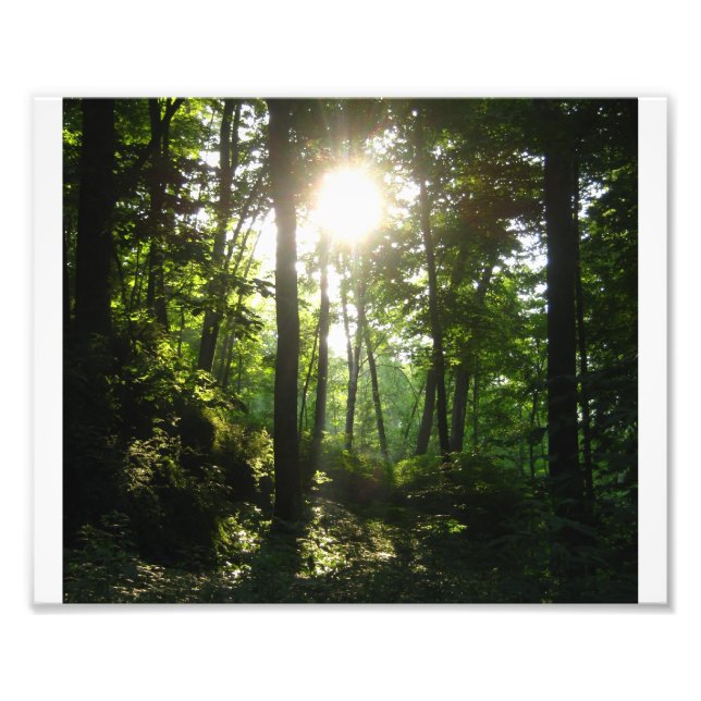 Wapsipinicon Forest Fototryck (Framsidan)