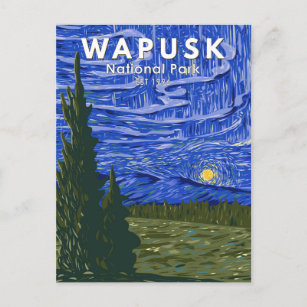 Wapusk National Park Northern Ljus Vintage Vykort