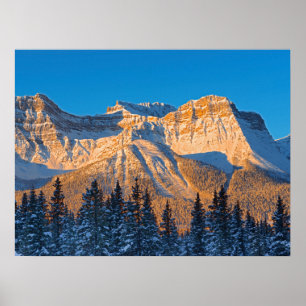 Waputik Range i kanadensiska Klippiga bergen Poster