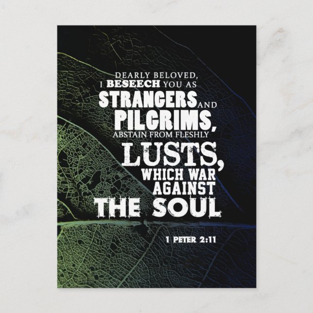 War against the soul vykort (Framsida)