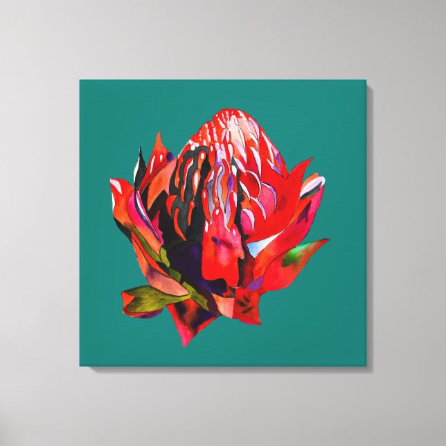 Waratah Australian, ursprungsblommans vattenfärg Canvastryck (Framsida)
