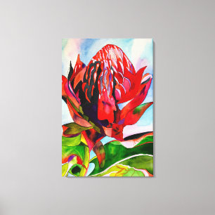 Waratah Australian, ursprungsblommans vattenfärg Canvastryck