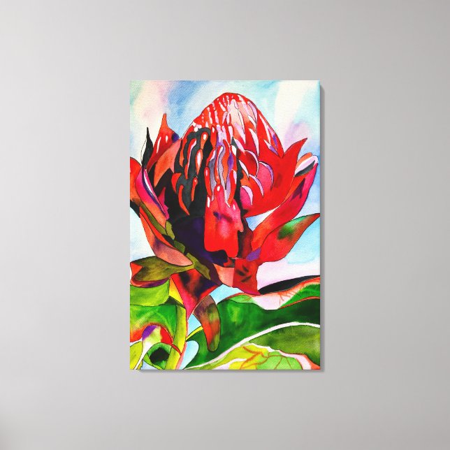 Waratah Australian, ursprungsblommans vattenfärg Canvastryck (Framsida)