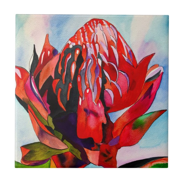 Waratah Australian, ursprungsblommans vattenfärg Kakelplatta (Framsidan)