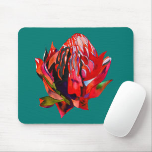 Waratah Australian, ursprungsblommans vattenfärg Musmatta
