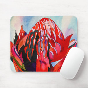 Waratah Australian, ursprungsblommans vattenfärg Musmatta