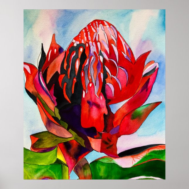 Waratah Australian, ursprungsblommans vattenfärg Poster (Framsidan)